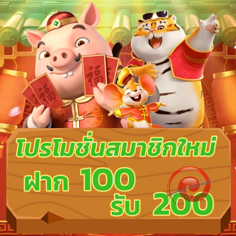 tanee66 เว็บตรง